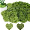 JOZMMZEOOA Muschio artificiale da decorare muschio artificiales in 2 diversi muschios artificiale islandese, muschios artistico islandese, decorazione per foto muschi (Verde Chiaro + Verde Scuro 50g)
