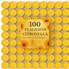 Generico Citronella Tealight Antizanzare, Set da 25/50/100 Pezzi, Candele Profumate per Esterni, Giardino, Terrazzo (100)