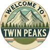 Igtefte Targa in metallo con scritta Welcome to Twin Peaks, stile vintage, per casa, bar, giardino, 20,3 x 20,3 cm