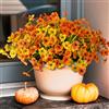 INQCMY Piante finte artificiali per esterni, decorazione autunnale, 12 mazzi di margherite in finta seta, resistenti ai raggi UV, aspetto reale per casa, porta d'ingresso, portico, patio, giardino, balcone