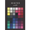 No brand Armocromia - palette winter (quaderno a righe): Winter palette - inv xiy7