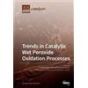 Asuncion Quintanilla Maca Trends in Catalytic Wet Peroxide Oxidation (Tascabile)