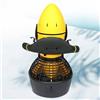 Generic Monopattino elettrico da 500 W, batteria da 24 V, 9,7 Ah, 50-70 minuti di utilizzo, velocità regolabile per immersioni, nuoto, spiaggia, parco acquatico