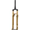 LHHL 26/27,5/29pollici Forcella Ammortizzata ad Aria per Mountain Bike Corsa120mm Forcelle Anteriore per Bicicletta ASSE Passante Boost 15 * 110mm Conica Manuale Blocco per MTB XC AM(Gold,29)
