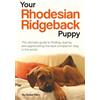 Revodana Publishing LLC Your Rhodesian Ridgeback Puppy: The ultimate guide to finding, rearing and appreciating the best companion dog in the world
