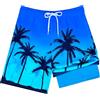 Resiprolty Costume Da Bagno Per Ragazzi, Pantaloncini Da Bagno Ragazzi Bambini A Compressione Ad Asciugatura Rapida Corti Boardshorts con Tasche Coulisse Regolabile,Consigliata:134-176 Cm (Verde 10-12 anni)