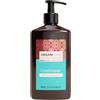 Arganicare | Gamma Argan | Balsamo nutriente e idratante | Riparatore | Con olio di Argan biologico | Cura dei capelli | Capelli secchi e danneggiati | Previene la rottura | 400 ml