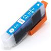 TCTK Techtek Cartuccia d'inchiostro 13ml compatibile con [Epson] Expression Photo XP-55, Expression Photo XP-65, XP-750, XP-760, XP-850, XP-860, XP-950, XP-960, XP-970 sostituisce 24XL (C13T24324012)