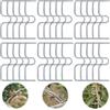 Raxfekro Spargitore per rami da frutto, supporto per rami di frutta, mollette per rami da giardino, per dilatare e livellare rami di alberi da frutto (30 pezzi da 8 cm)