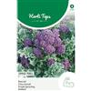 Hortitops 12237 Broccoli Summer Purple (semi di broccoli)