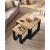 Xinyvee Tavolino Salotto Set di 2 Tavolini da Salotto 50x50x42 cm e 50x30x37 cm Tavolino da Divano Design Annidabile Risparmia Spazio Stabile Resistente all'Acqua Legno