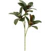 Generic Foglie di magnolia steli, rami di foglie di magnolia falsi, foglie di magnolia realistiche al tatto, plettri artificiali di magnolia