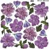 Sospeso Trasparente 3 Pezzi di Pellicola Standard Serie 2/07 Modello Purple Flower. Atossica certificata. Modellabile a Basse Temperature. per Decorazioni 3D Effetto Vetro e Splendidi Accessori Moda