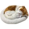 Bagima Giocattolo del Gatto Che Dorme Bambola di Peluche del Gatto Che Respira con Il Tappetino Giocattoli di Peluche per i Bambini Ornamento per la Casa Letto con Tappetino Morbido e (1)
