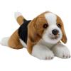 Carl Dick Beagle 20 cm, Peluche, Peluche, Animale di peluche 3717