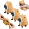 Zorvayne 3 Pezzi Capybara Fidget Giocattolo, Giocattoli Squishy Capibara, Capybara Squishy Giocattolo da Spremere, Capybara Squeeze Fidget Toys, Per Giocattoli da per Bambini e Adulti