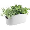 Eva Trio - vaso con riserva Pot de fleurs - Bianco - Nylon - Designer The Tools