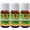 Vividus Tea Tree Oil Vividus 3x10 ml Olio essenziale