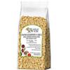 ITALIA SPEZIE Zenzero Disidratato A Cubetti - 500 G Senza Zucchero Cristallizzato (Con Zucchero A Velo) - Prima Qualità - Ginger Candito Essiccato - Snack - Frutta Disidratata - Secca - Candita - Italia Spezie
