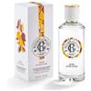 ROGER&GALLET (LAB. NATIVE IT.) Roger & Gallet Bois D'Orange Acqua Profumata Di Benessere, 100 ml