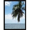 RK Cadres Cornice su Misura 33x48 o 48 x 33 Cornice portafoto Nero, 3 Centimetri di Larghezza