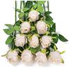 DuHouse 10 rose artificiali di seta per bouquet di fiori finti lunghi steli per decorazioni per matrimoni e feste (beige)