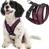 Gooby Choke Free Comfort x Morbido Dog Harness