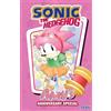 IDW Publishing Sonic the Hedgehog: Amy's Anniversary Special