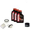 MotoCapuano KIT TAGLIANDO YAMAHA TMAX 500 OLIO FILTRI 2004 2005 2006 2007 MOTUL 7100 10W40