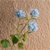 Generic Ortensia artificiale, fiore di seta a stelo lungo, vero al tatto, per matrimoni, feste in casa (blu)