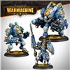 Steamforged Games Warmachine: Cygnar Storm Legion Battlegroup Box