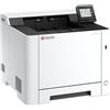Kyocera ECOSYS PA2101CX - Stampante - Colore - laser - A4/Legal - 1200 x 1200 dpi - fino a 21 pagine/min (in bianco e nero)/ - 110C253NL0