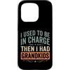 Funny grandma grandpa retro humor Custodia per iPhone 15 Pro Ho usato per essere in carica e poi avevo nipoti umorismo vintage