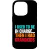 Grandma Humorous For Mom Vintage Style Custodia per iPhone 14 Pro Usato Charge poi aveva nipoti divertente detto