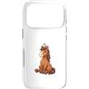 Timowo Studio Custodia per iPhone 17 Pro Cavallo con uccellino blu