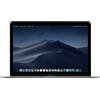 Apple MacBook 12" Retina (2015) - Core M 1.3 GHz SSD 512 - 8GB - Tastiera QWERTY - Svedese - refurbished