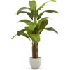 MAIA SHOP Banano artificiale 150 cm, pianta finta da interno con tronco naturale, albero decorativo realistico per casa ufficio hotel