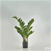 Enzo De Gasperi EDG Enzo De Gasperi pianta con vaso Zamifolia 9 rami h90 cm