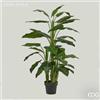 Enzo De Gasperi EDG Enzo De Gasperi pianta con vaso Calla h145 cm