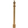Akozon Valvola Pneumatico Estensione Adattatore Prolunga per Valvola a Farfalla in Ottone Stead Tyre Pole Caps Prolunga Extender Dritto per Pneumatici RV Camion Pullman Pickup(100mm)