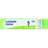 BOIRON SRL Lachesis Mutus 5 Ch Granuli 4g