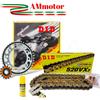 DID Kit Did ZX-9 R Kawasaki 2002 Catena 525 VX3 Oro Rapporti 16 41 Moto Trasmissione