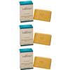 termeditabiano Aqua Di Tabiano Sapone Allo Zolfo 100 G 3x100 g