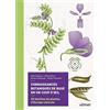 Ulmer Connaissances botaniques en un coup d'oeil: 40 familles de plantes d'Europe centrale