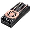 GrauGear Alloggiamento esterno M.2 NVMe SSD con Ventola - G-M2U4-40G-F