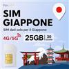 travSIM SIM Giappone con 25 GB di dati ad alta velocità 5G/4G | SIM giapponese valida 30 giorni per rimanere sempre connessi | Nessun costo di roaming | Attivazione rapida e funzionalità hotspot | travSIM