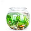 Nobleza - Boccia Pesci 20cm in PVC a Forma di Sfera, Pianta Vaso Ciotola Acquario Decori