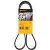 Contitech 6 PK 1244 Cinghie Trapezoidale