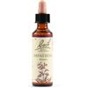 BACH Impatients Bach Orig 20ml