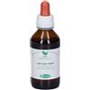 MG Ontano nero (Alnus glutinosa) gemme 100 ml Gocce orali